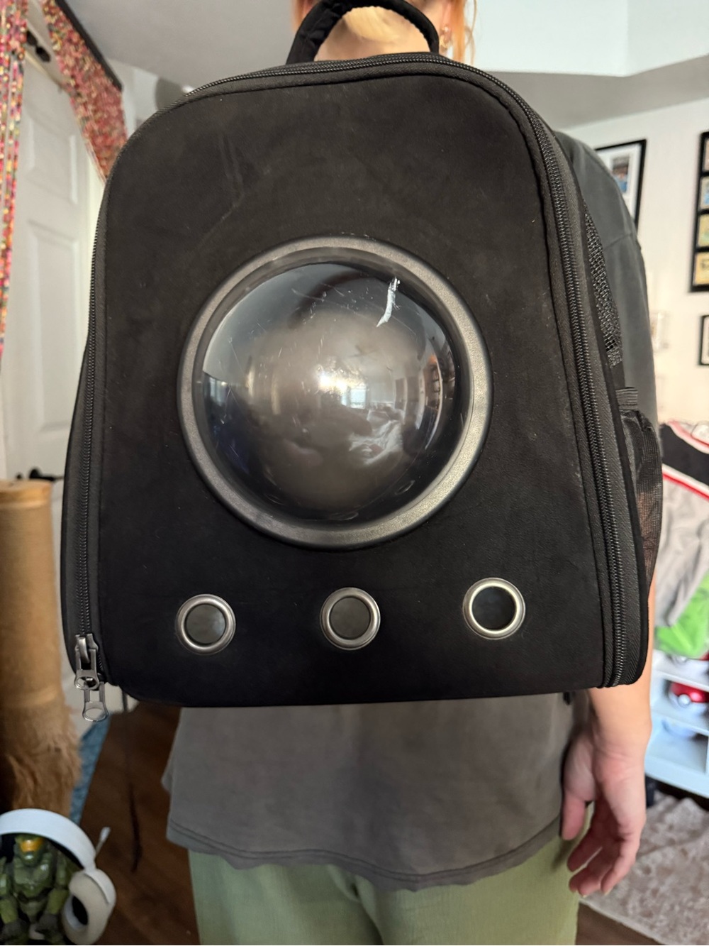 Bubble Window Pet Carrier Backpack in Black for small/medium kittens/cats new